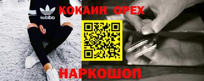 сатива Можга