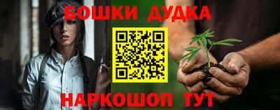 сатива Можга