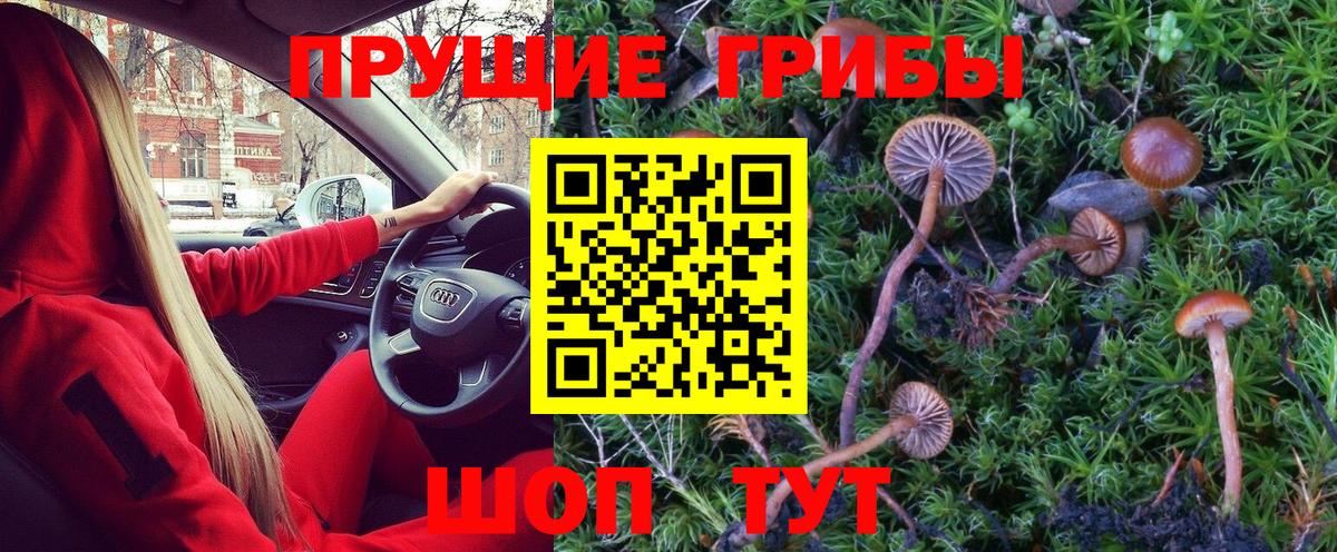 Галлюциногенные грибы Psilocybine cubensis  Галлюциногенные грибы MAGIC MUSHROOMS  Вход с VPN  Горячий Ключ 