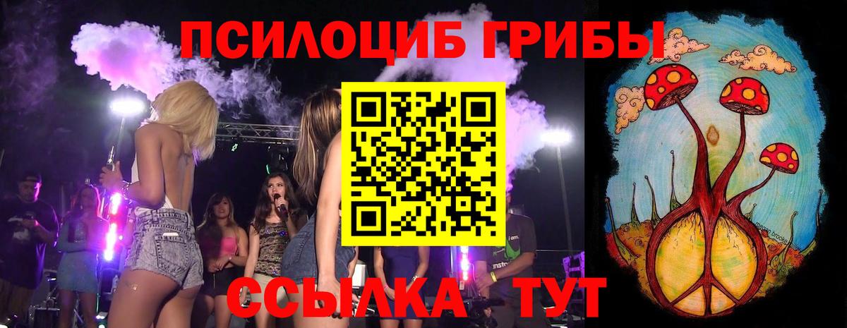 Псилоцибиновые грибы мухоморы Горячий Ключ
